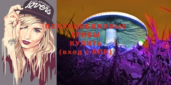 соль ск Аркадак