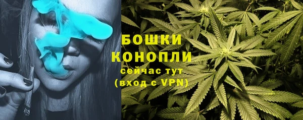 apvp Арсеньев